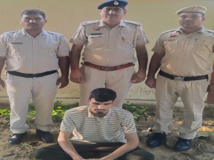 भिवानी में 20 लाख की अवैध शराब जब्त:  ट्रक में पाइप के नीचे छिपाकर रखा था, पुलिस ने ड्राइवर को किया गिरफ्तार - Siwani (Bhiwani) News