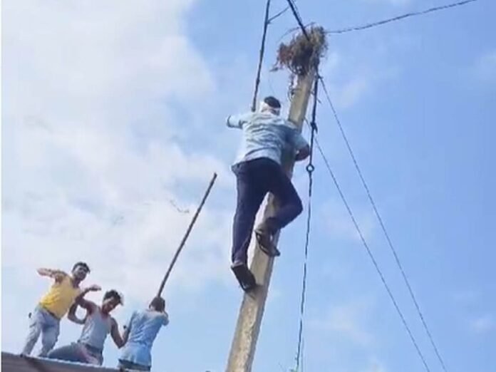 खंभे पर चढ़े लाइनमैन को डंडों से पीटा, VIDEO:  ग्रामीण पर केस, बकाया बिल नहीं देने पर कनेक्शन काट रहा था कर्मचारी - Balaghat (Madhya Pradesh) News