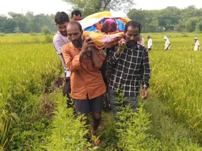 शव को खेतों से श्मशान घाट ले गए परिजन...VIDEO:  खैरागढ़ में मुक्तिधाम के रास्ते पर दबंगों का कब्जा;अफसर बोले- रोड सेंक्शन होगी तो बना देंगे - Chhattisgarh News