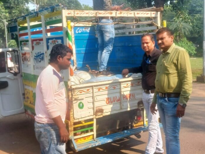 सोहागपुर में दुकानों पर खपाने आया 550 किलो मावा जब्त:  मिठाई-मावों की जांच करने एसडीएम के साथ पहुंचे फूड सेफ्टी ऑफिसर - narmadapuram (hoshangabad) News