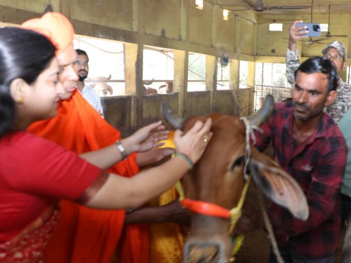 गुरुकुल पहुंचीं कलेक्टर सोनिया मीना ने गौ सेवा की:  बोलीं- इसे पर्यटन सर्किट से जोड़ेंगे ताकि पर्यटकों को मिले सनातन संस्कृति की जानकारी - narmadapuram (hoshangabad) News