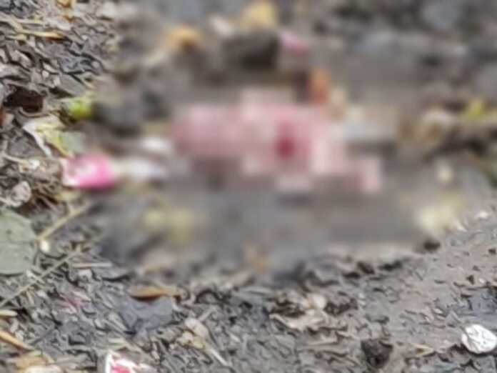रायपुर में साढ़े 3 महीने के नवजात की मिली लाश:  किसी ने सुनसान खंडहर में झाड़ियों के बीच फेंका, राहगीर ने दी पुलिस को सूचना - Raipur News