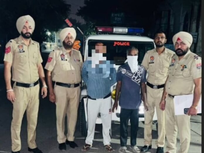 संगरुर में गाय को पीट-पीटकर मार डाला:  प्लाट में पानी पीने के लिए आई थी, चल रहा निर्माण कार्य, दो आरोपी गिरफ्तार - Sangrur News