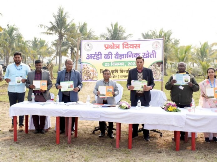 अरंडी की खेती और लाभ के बारे में कराया अवगत:  बीएयू सबौर ने अरंडी पर प्रक्षेत्र दिवस का किया आयोजन, 50 से अधिक किसान हुए शामिल - Bhagalpur News