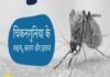 चिकनगुनिया का कहर:  34 सैंपल की जांच में 17 साल के बच्चे सहित चिकनगुनिया के 11 नए मरीज मिले - Gwalior News