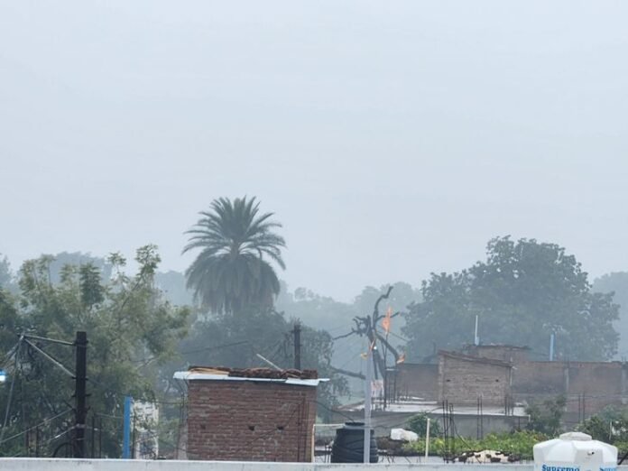 छतरपुर में एक दिन में हुई 106.6 मिमी बारिश:  इस साल अब तक 39.37​​​​​​​ इंच दर्ज; कल मौसम साफ रहने की उम्मीद - Chhatarpur (MP) News
