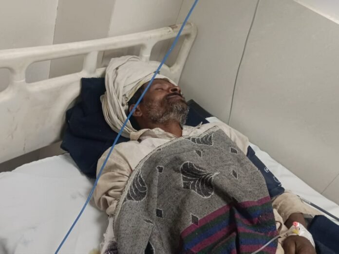 बाघ ने मवेशी चरा रहे किसान पर किया हमला:  घायल ICU में भर्ती, उमरिया इसरा वन क्षेत्र की घटना; बाघ को पकड़ने के लिए लगाया पिंजरा - Chhindwara News