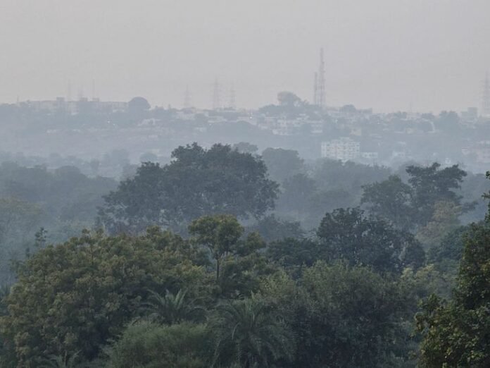 सूर्य नारायण के दर्शन नहीं हुए, छाए रहे बादल:  सुबह कोहरे के साथ हुई दिन की शुरुआत, हवाओं ने बढ़ाई ठिठुरन - shajapur (MP) News