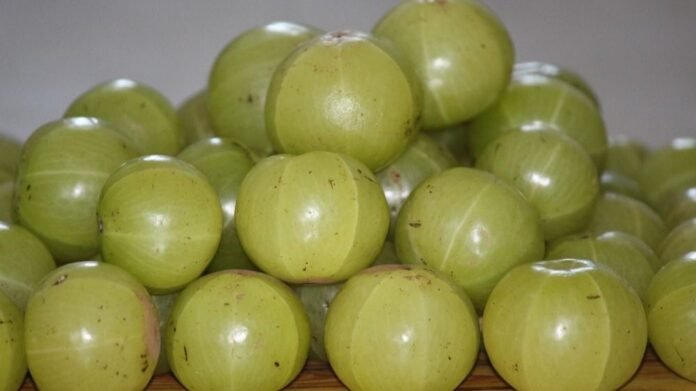 Amla Uses: एक दिन में खाएं कितने आंवले? जानें इसे कैसे जोड़ें अपनी डाइट में