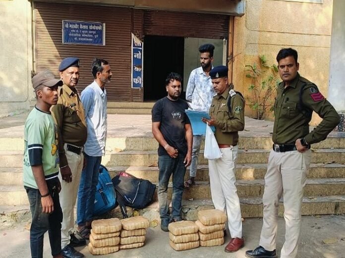 UP-CG और ओडिशा में सक्रिय 2 गांजा तस्कर गिरफ्तार:  5.60 लाख रुपए का गांजा बरामद, अब पुलिस खरीदने वालों को भी पकड़ेगी - durg-bhilai News