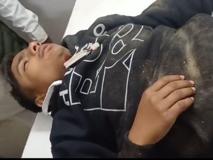 गाय से टकराईं दो बाइक, एक की मौत, दूसरा गंभीर:  अंबाह में सड़कों पर गायों की बैठने से आए दिन हो रहे हादसे - Ambah News