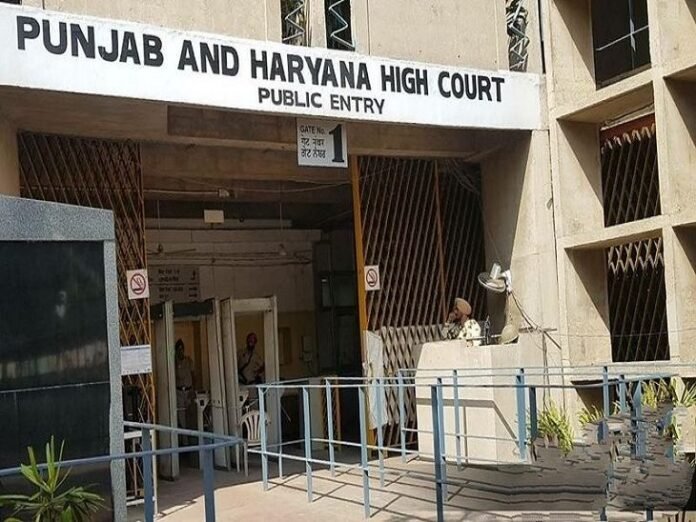 राजिंदरा अस्पताल में लाइट गुल होन का मामला HC पहुंचा:  अदालत ने पंजाब सरकार से मांगी स्टेटस रिपोर्ट, 6 फरवरी को होगी सुनवाई - Punjab News