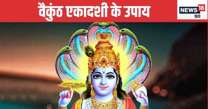 वैकुंठ एकादशी के दिन का विशेष उपाय, पलट सकती है किस्मत, धन-धान्य से भरेगी झोली!