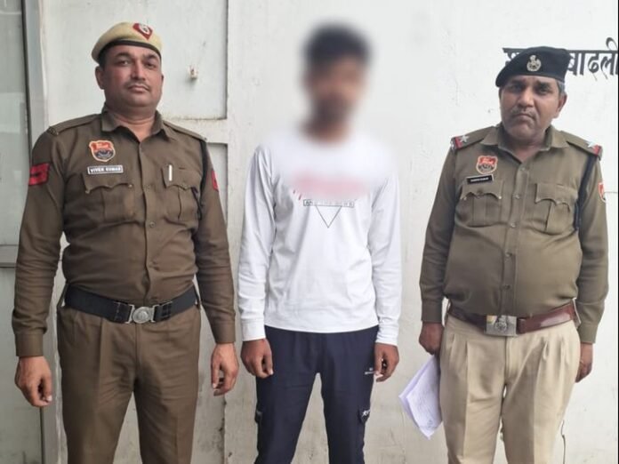 बहादुरगढ़ में देसी पिस्तौल समेत व्यक्ति गिरफ्तार:  पुलिस टीम को देख छिपने की कोशिश, कोर्ट में पेश कर भेजा जेल - bahadurgarh (jhajjar) News