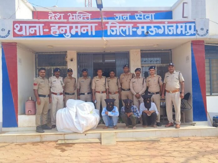 मऊगंज पुलिस ने तीन कोरेक्स तस्करों को किया गिरफ्तार:  यूपी से एमपी लाकर नशीली कफ सिरप की करते थे तस्करी, 1410 शीशियां जब्त - Mauganj News