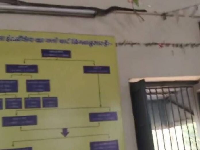 इंदौर; ट्रेनिंग के दौरान पंखे से लिपटा 7 फीट लंबा:  डाइट में एक घंटे तक दहशत में रहे टीचर्स; प्यून ने बाहर निकाला - Indore News