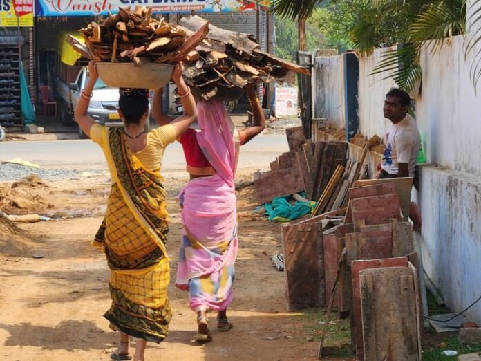 सिलेंडर की कीमत बढ़ने से चूल्हे की ओर लौटी महिलाएं:  कोंडागांव में उज्ज्वला योजना के लाभार्थी अब जंगल से लकड़ी लाने को मजबूर - Kondagaon News