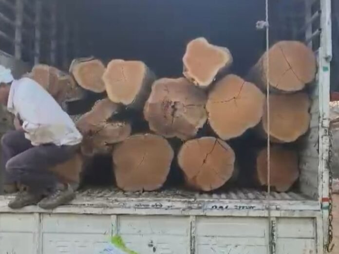खवासा चेक पोस्ट पर वन विभाग की बड़ी कार्रवाई:  32 सागौन लट्ठों से भरा ट्रक पकड़ा, दो आरोपी हिरासत में - Seoni News
