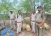 अवैध लकड़ी परिवहन में दो आरोपी गिरफ्तार:  लोरमी में 40 हजार की इमारती लकड़ी जब्त, वन विभाग को सौंपा - Mungeli News