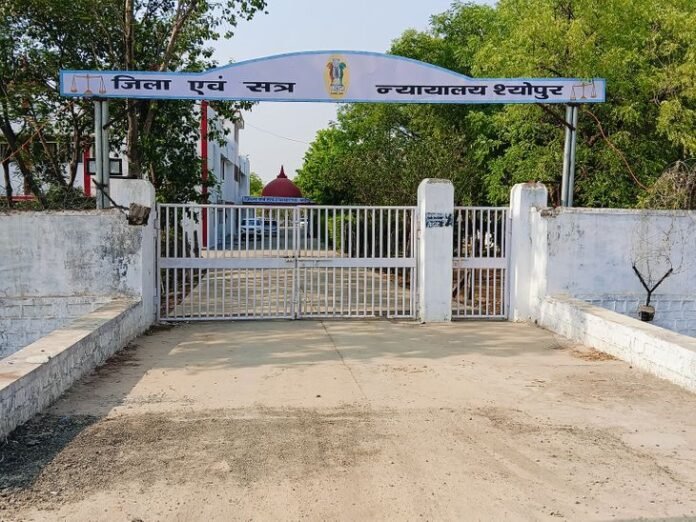 जातिसूचक गाली और मारपीट में तीन साल की जेल:  श्योपुर कोर्ट ने आरोपी पर 5 हजार रुपए जुर्माना भी लगाया - Sheopur News