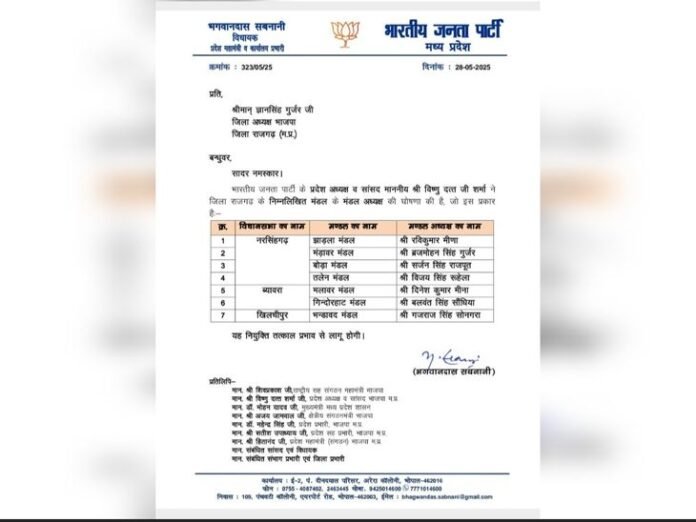 झाड़ला में रवि मीणा भाजपा अध्यक्ष:  मंडावर में ब्रजमोहन, बोडा में सर्जन, तेलन में विजय को जिम्मेदारी; पार्टी ने 7 जगह जिम्मेदार बदले - rajgarh (MP) News