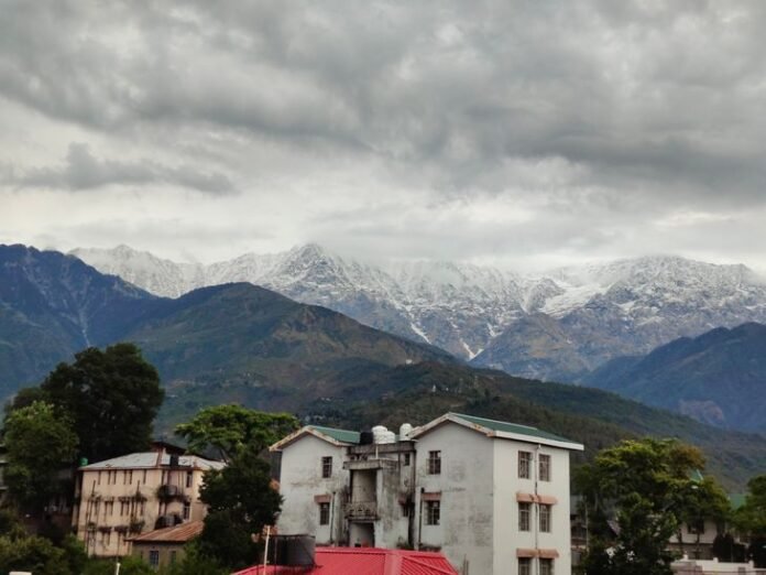 धर्मशाला में बर्फबारी से बदला मौसम:  पर्यटकों की संख्या में वृद्धि, इस महीने तीन आईपीएल मैच; होटल की बुकिंग तेजी से बढ़ रही - Dharamshala News