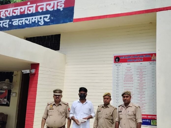 फायरिंग का आरोपी 12 घंटे में गिरफ्तार:  क्रिकेट मैच में विवाद के बाद युवक को मारी थी गोली, अवैध हथियार बरामद - Balrampur News