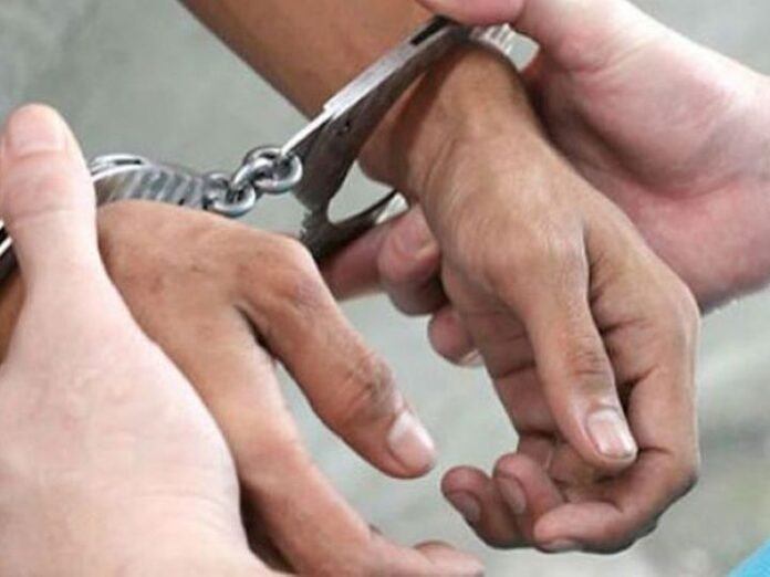 सुकमा जिले में 11 समितियों पर हुई कार्रवाई:  तेंदूपत्ता प्रोत्साहन राशि बांटने में 5.73 करोड़ की गड़बड़ी, डीएफओ गिरफ्तार - Raipur News