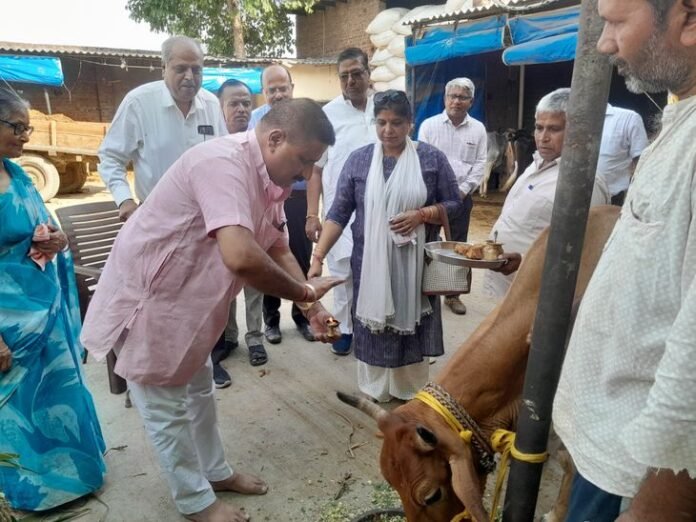 गोबर से बने उपलों का बढ़ेगा उत्पादन:  हापुड़ की तीन गौशालाओं में गौ-उत्पादों की यूनिट लगाने के निर्देश - Hapur News