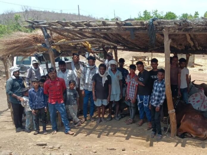 तेंदुए के हमले के बाद वन विभाग एक्टिव:  बुरहानपुर में ग्रामीणों को सतर्क किया जा रहा; जंगल में अकेले न जाने की हिदायत - Burhanpur (MP) News