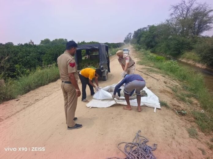अबोहर की लंबी माइनर में मिला युवक का शव:  नहीं हुई पहचान, बाएं हाथ पर बेबे बापू का टैटू, छाती पर लिखा एसजी - Abohar News