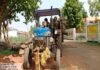 अवैध लकड़ी परिवहन करते दो ट्रैक्टर जब्त:  बालोद-सुंदरा मार्ग पर उड़नदस्ता ने पकड़ी लकड़ी से लदी गाड़ियां - Balod News