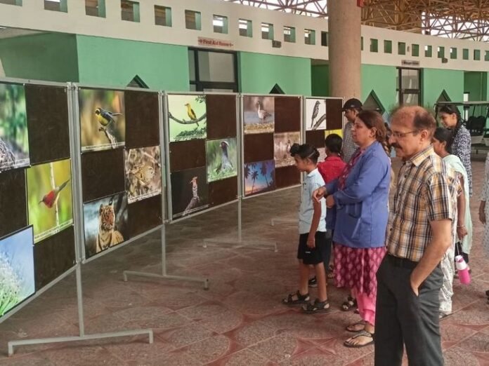 कपूरथला साइंस सिटी में प्राकृतिक फोटोग्राफी दिवस:  तस्वीरों से पक्षियों और प्रकृति की खूबसूरती का प्रदर्शन, नाजुकता और सौंदर्य को दर्शाया - Kapurthala News