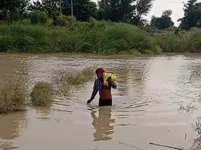 कमला बलान में बढ़ा पानी, ऊंचाई पर जा रहे लोग:  गांवों का संपर्क प्रखंड मुख्यालय से टूटा, नाव से आना-जाना कर रहे ग्रामीण; फसल भी बर्बाद - Darbhanga News