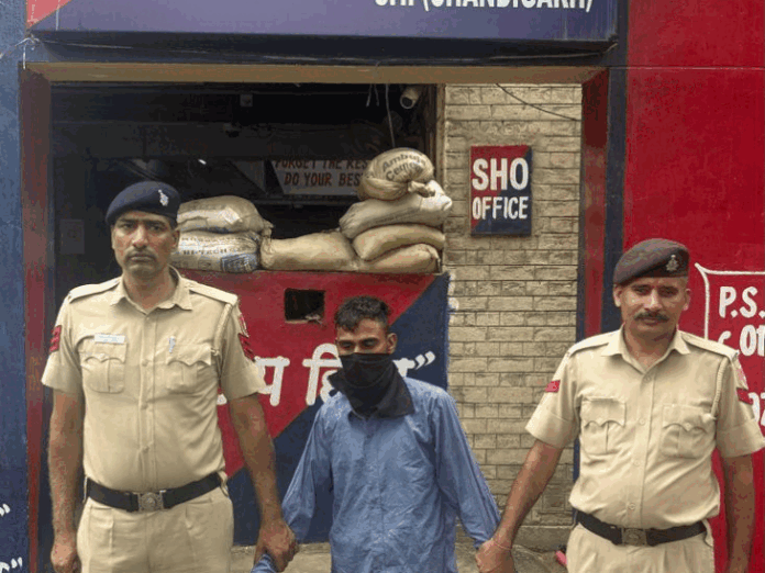 चंडीगढ़ में रवीना की मौत का राज खुला:  घर पर झूठ बोल दोस्त से मिलने पहुंची, बात करते हुए काटा सांप ने, दोस्त छोड़़कर भागा - Chandigarh News