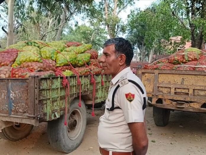 जींद में आम चुराने की कोशिश:  सहारनपुर से मंगवाया था ट्रक, रास्ते में ड्राइवर ने निकाला माल, रोहतक बेचने पहुंचा - Julana News