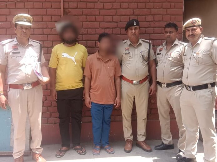 झज्जर में युवक की हत्या मामले में दो गिरफ्तार:  एक ने सिर में मारा हथौड़ा-दूसरे ने जेसीबी का बॉकेट, पुरानी रंजिश में किया मर्डर - Jhajjar News