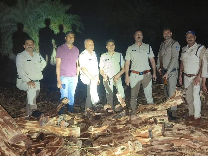 दतिया के जंगल में खैर तस्करी पर मुठभेड़:  पुलिस पर फायरिंग कर ट्रक लेकर फरार हुए: तस्करों के नाम पता होने पर भी अज्ञात पर FIR - datia News