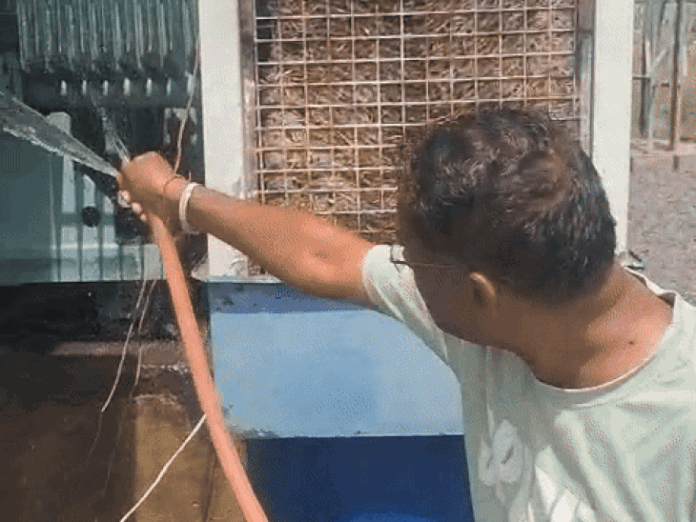 नूंह में बिजली के ट्रांसफार्मर पर पानी का छिड़काव:  44 डिग्री दर्ज किया गया तापमान,ट्रांसफार्मर को ठंडा कर रहे कर्मचारी VIDEO - Nuh News