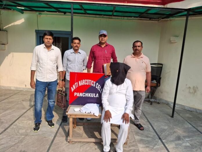 पंचकूला में नशा तस्कर गिरफ्तार:  1 किलो से ज्यादा चरस बरामद, सप्लाई करने आया, कुल्लू से लाता था माल - Panchkula News