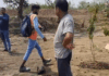 पर्यावरण दिवस पर लगाए 30 पौधे उखाड़े, VIDEO:  बलौदाबाजार में युवक ने शासकीय जमीन में किया दावा; ग्रामीणों ने की कार्रवाई की मांग - baloda bazar News