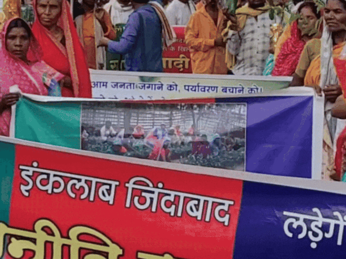 फलों के बीज से पौधे तैयार करने की मुहिम:  बैतूल में आदिवासियों का हरियाली अभियान, प्रशासन से 5000 पौधों की मांग - Betul News