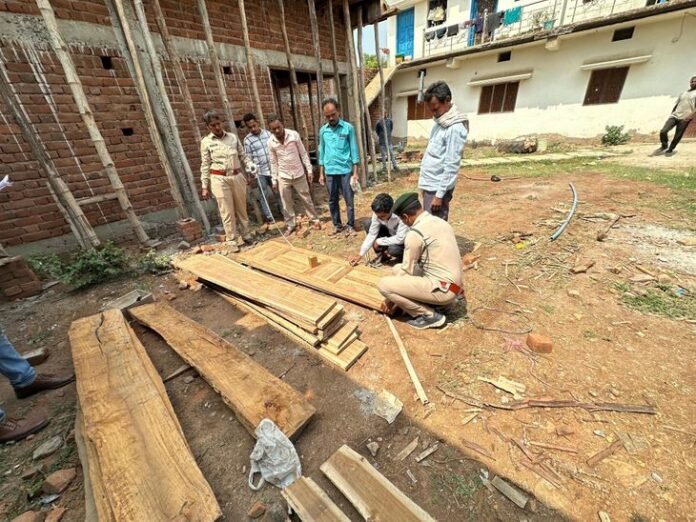 बलौदाबाजार में पकड़ाई 50 हजार की अवैध लकड़ी:  सोनाखान में 67 नग अवैध सागौन और बीजा चिरान जब्त, वन विभाग की कार्रवाई - baloda bazar News
