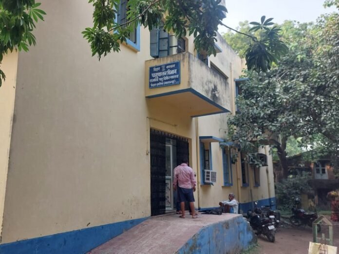 बिहारशरीफ में 11 करोड़ से बनेगा संयुक्त भवन:  एक ही छत के नीचे शिफ्ट होंगे पशुपालन, गव्य और मत्स्य विभाग के कार्यालय - Nalanda News