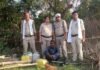 मऊगंज में आबकारी विभाग ने 7 गांवों में मारा छापा:  13 जगहों से 2320 किलो महुआ लाहन और 15 लीटर कच्ची शराब जब्त - Mauganj News