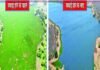 माधव रिजर्व:  चांदपाठा का सौंदर्य लौटा, अब पर्यटकों की बारी - Shivpuri News