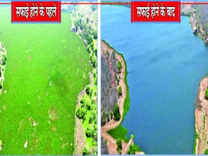 माधव रिजर्व:  चांदपाठा का सौंदर्य लौटा, अब पर्यटकों की बारी - Shivpuri News