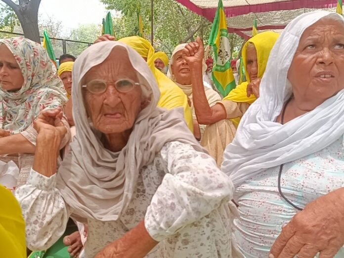 मानसा में लैंड पूलिंग पॉलिसी का विरोध:  किसानों का डीसी ऑफिस के बाहर प्रदर्शन, बोले- जमीन अधिग्रहण के बाद कहां जाएंगे - Mansa News