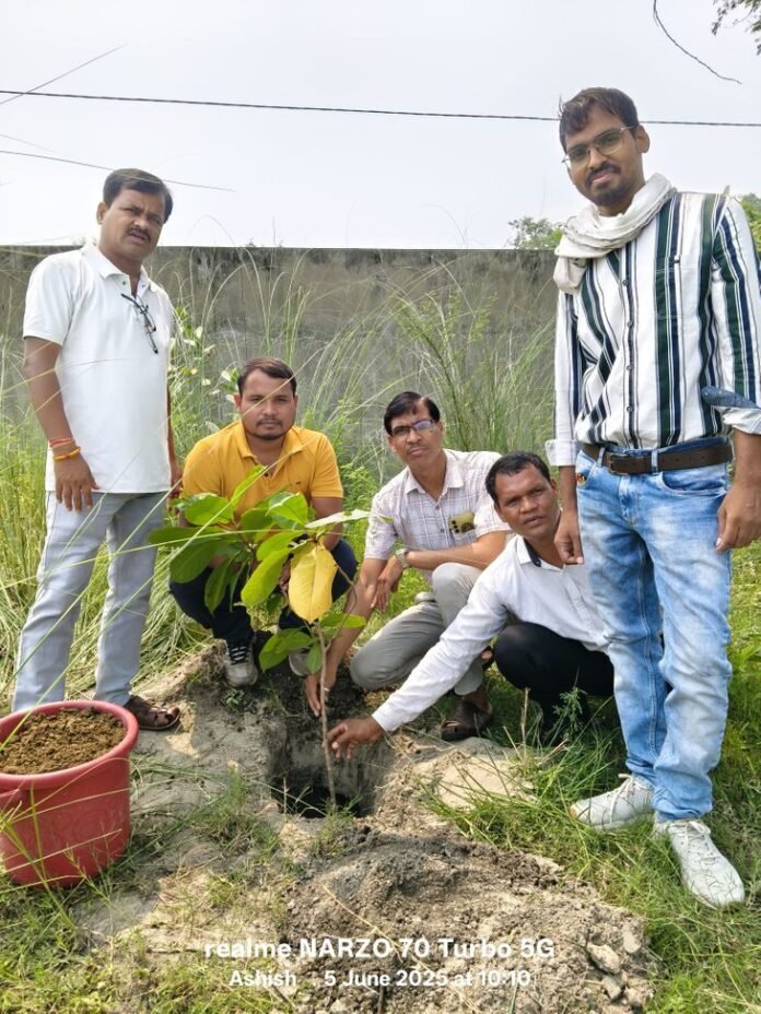  शासकीय उच्च माध्यमिक स्कूल बसंतपुर में पौधरोपण किया गया - janjgir champa News