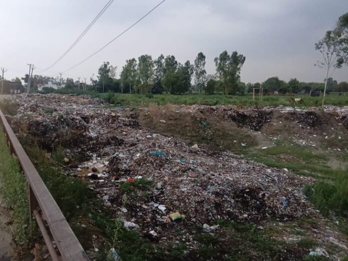 संभल में स्वच्छता अभियान की खुली पोल:  जीर्णोद्धार की परियोजना वाली महाबा नदी में फेंका जा रहा कूड़ा, प्रशासन मौन - Sambhal News